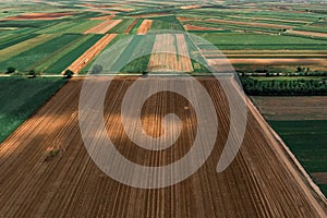 Aerial view of countryside farming field patchwork from drone pov