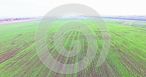 Aerial view of the countryside with fields of crops in outumn 4k