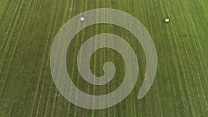 Aerial view of a countryside landscape with fresh green field and dry hay bales during harvest. Shot. Top view of trails