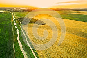 Aerial View Of Countryside Road Through Summer Rural Field. Road Between Corn Maize Plantation And Wheat. Landscape