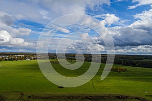 Aerial view of cows in a herd on green pasture in Estonia.