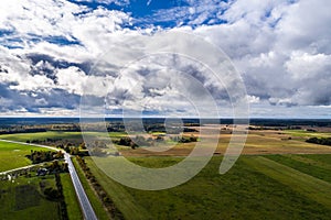 Aerial view of cows in a herd on green pasture in Estonia.