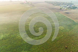 Aerial view of cows in a herd on green pasture in Estonia.