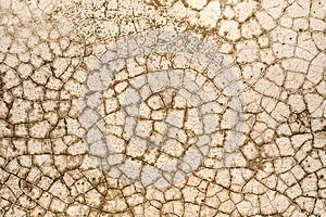 Aerial view of  cracks and drought land