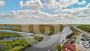 Aerial view of creek and swamps in the Florida Everglades, United States