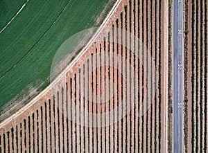 Aerial view of crop field with circular pivot irrigation sprinkler