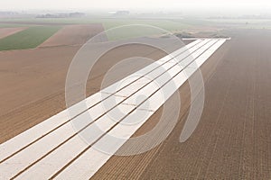 aerial view of the crop fields