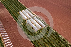 Aerial view of cultivated field with plastic greenhouse