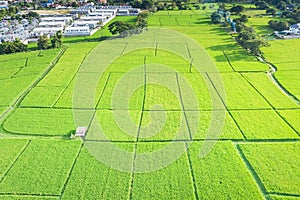 Aerial view of cultivated land