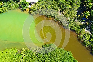 Aerial view of Cumuruxatiba beach, Prado, Bahia, Brazil