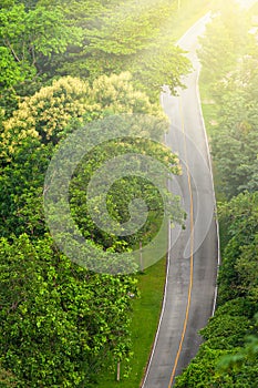 Aerial view of curve forest road at sunrise