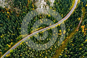 Aerial view of curve road and colorful autumn forest in Finland
