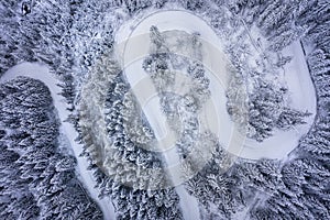 Aerial view of curved serpentine road in winter forest.