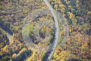 Aerial view of curving road in northern Minnesota on a sunny autumn day