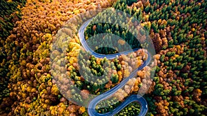 Aerial view of curvy road in beautiful autumn forest at sunset. Top view of roadway with autumn colors. Europe roads and transport