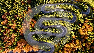 Aerial view of curvy road in beautiful autumn forest at sunset. Top view of roadway with autumn colors. Vintage edit