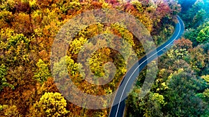 Aerial view of curvy road in beautiful autumn forest. Top view of roadway with autumn colors