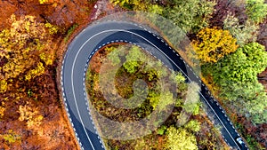 Aerial view of curvy road in beautiful autumn forest. Top view of roadway with autumn colors