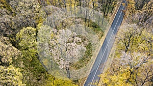 Aerial view of curvy road in forest. Autumn high in mountains