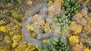 Aerial view of curvy road in forest. Autumn high in mountains. Cars passing each other