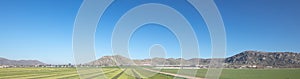 Aerial view of cut and raked alfalfa field in Temecula southern California USA