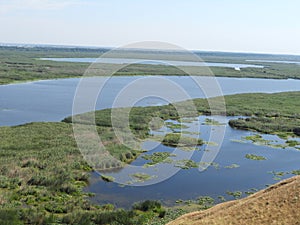 DANUBE DELTA landscape view of swamp and chanel photo