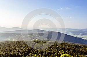 Aerial view on the deep green forest and blue sky during sunset on the background