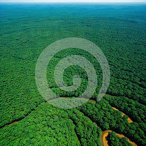 Aerial view of deforested area of the Amazon rainforest caused by illegal mining created with