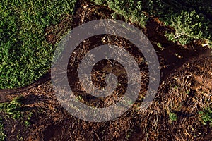 Aerial view of deforested landscape from drone pov