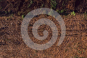 Aerial view of deforested landscape from drone pov