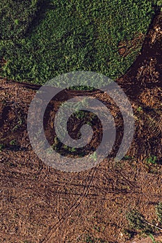 Aerial view of deforested landscape from drone pov