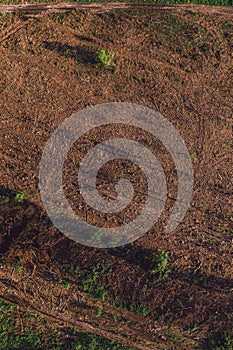 Aerial view of deforested landscape from drone pov