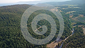 An aerial view of a dense forest on a hilly terrain