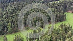 Aerial view of a dense forest with a meadow, where cows graze, to the rough mountains of the Alps