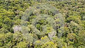 Aerial view of dense green forests in Salto Encantado Provincial Park, Argentina photo