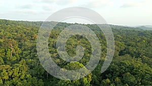 Aerial view of a dense tropical rainforest in Thailand.