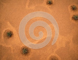 Parched wilderness - desert sandscape. photo