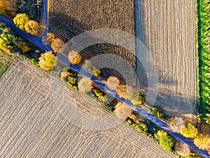 Aerial view of diagonal country road, autumn trees and ploughed fields