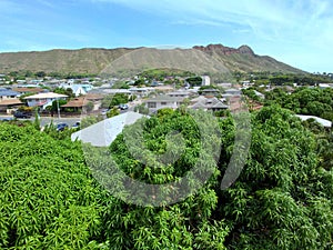 Aerial view of Diamondhead,  Mango Trees, Kapahulu Homes, and Pacific ocean