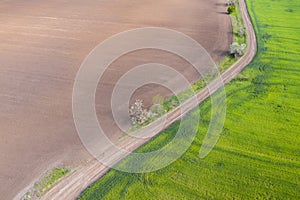 Aerial view, dirt road divides green and brown field