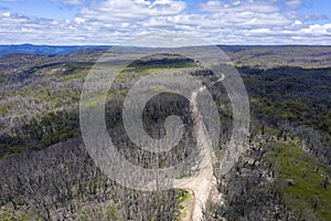 Aerial view of a dirt road in a forest regenerating from bushfire in regional Australia