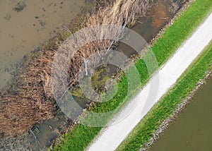 Aerial view of dirt road through marsh lands
