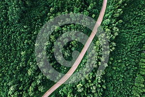 Aerial view of the dirt road passing through the forest