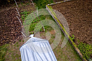 Aerial view of DIY low tunnel greenhouse in a home garden. Polytunnel, autumn garden, cold weather crop protection.