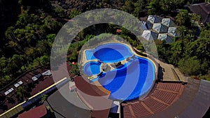 Aerial View of Dolphins at Palmitos Park in Spain