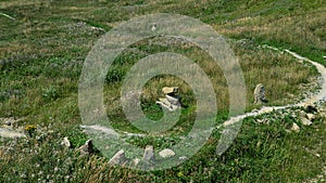 Aerial view of downhill mountain bike trail with some stones and stone columns along the track.