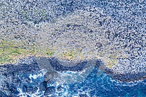 Aerial view with dozen of stones on Giants Causeway, the famous landmark on Northern Ireland UK