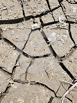 Aerial view dried mud cracked and seeds debris