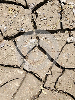 Aerial view dried mud cracks and seeds debris