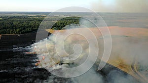 Aerial view from drone farmer Burning dry grass. Fire in a field aerial view. Fire on autumn fields.